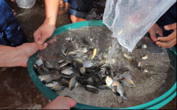 O projeto continuará sendo executado com o apoio de parceiros e da comunidade para garantir o equilíbrio ambiental da região